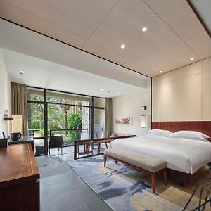 Deluxe King Room View